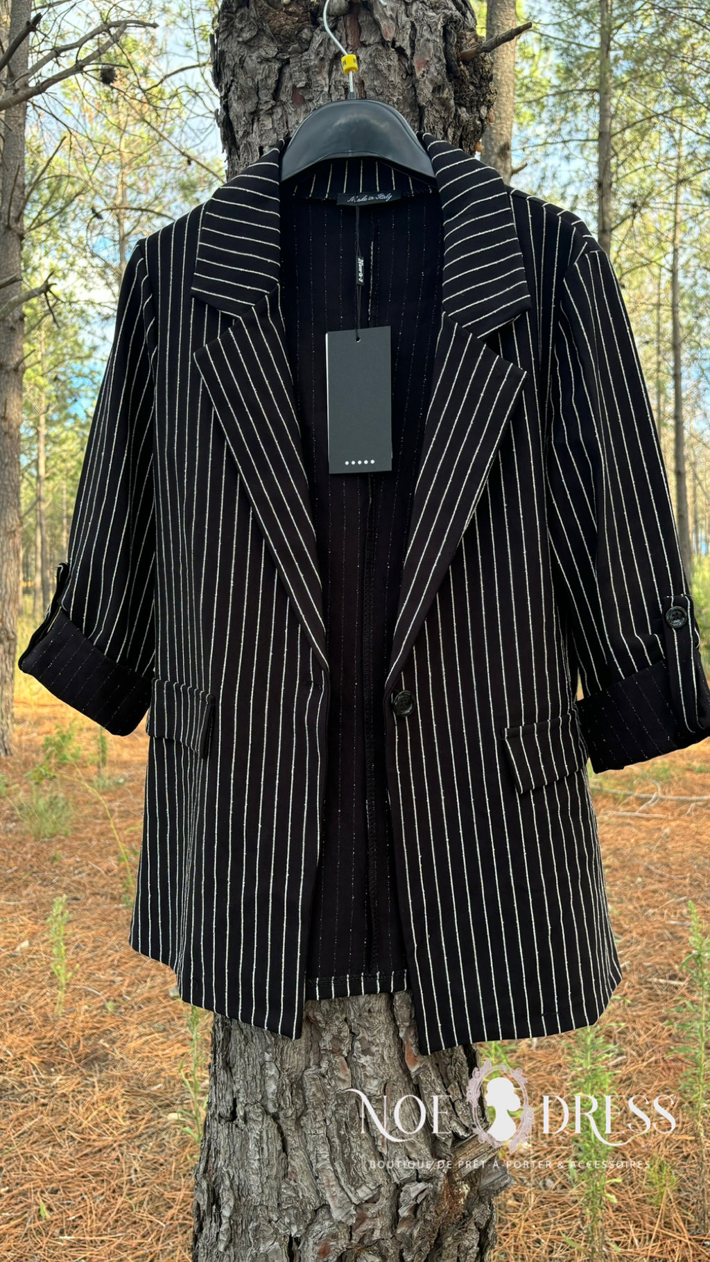 Blazer Addams
